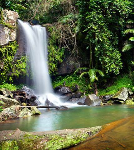 Mt Tamborine | Langports